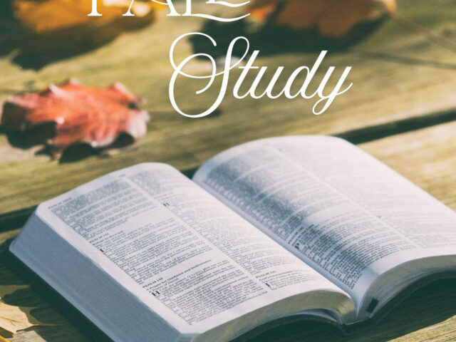 FallStudy