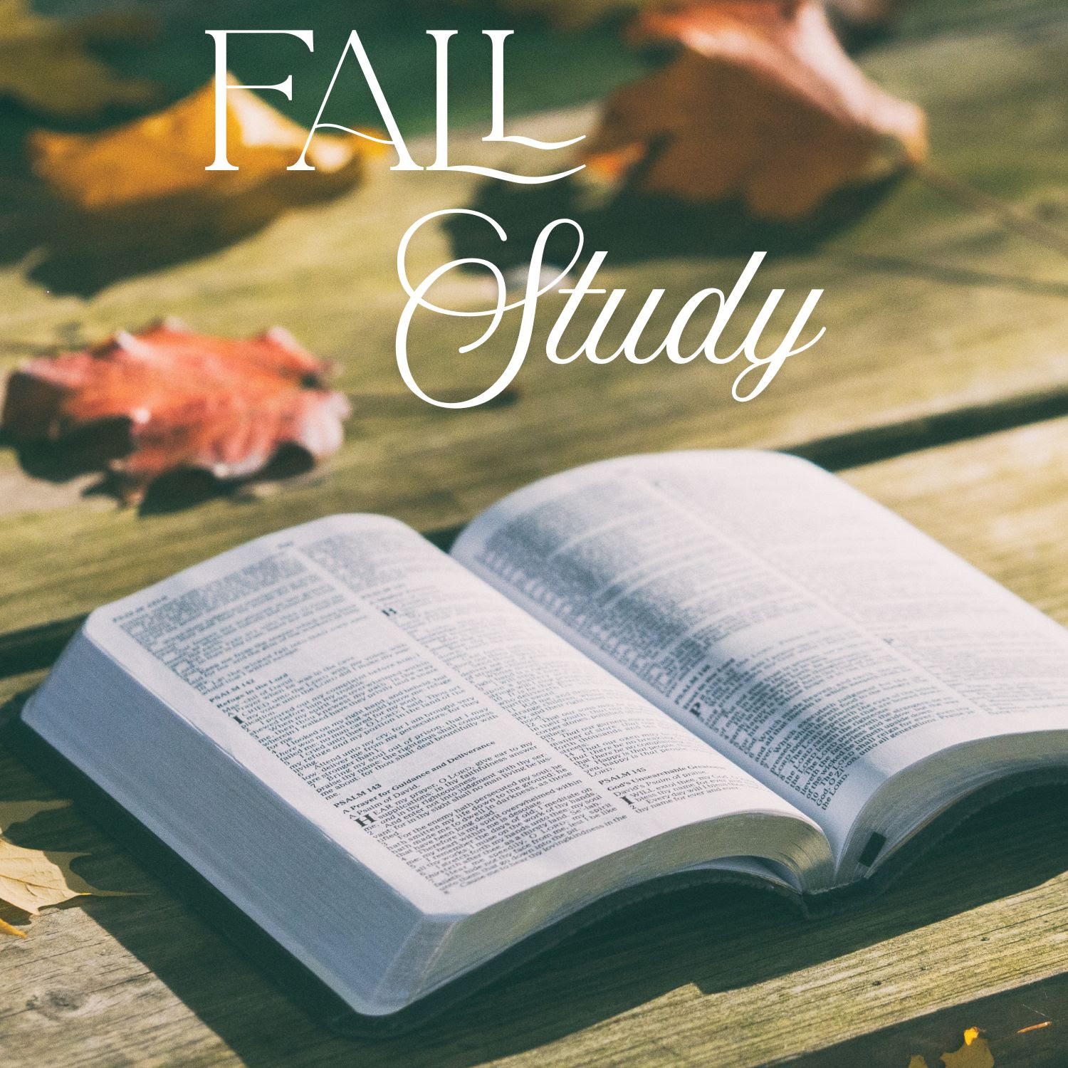 FallStudy