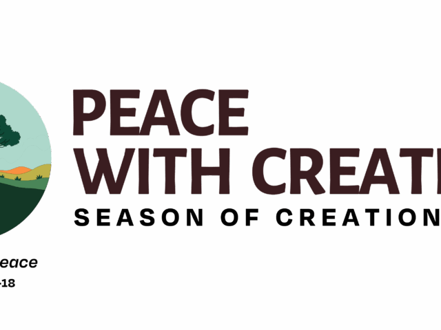 PeaceWithCreation